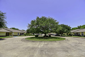 Bayview 24